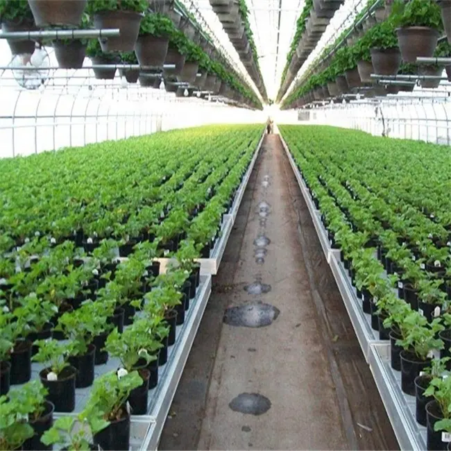 ABS kreş bitki tepsileri tarım hidroponik ebb ve akış tablosu büyümek tepsileri