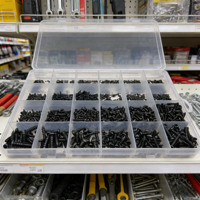 Lot de 700/2010 vis autotaraudeuses à tête cruciforme M1-M4 en acier noir, norme JIS, pour bois, provenant de Chine