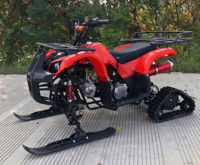 Quad 125CC 4 temps tout-terrain pour neige, plage et glace, véhicule à quatre roues pour location sur terrain enneigé
