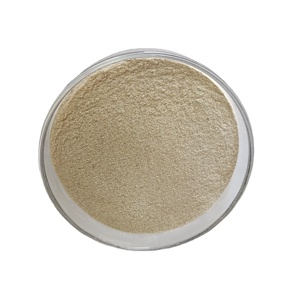 Proteasa de Ácido <span class=keywords><strong>Habio</strong></span> en Polvo 300,000U/g, Enzima Proteolítica Ácida de Alta Eficiencia - Product Image 1
