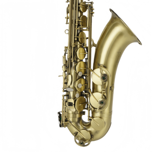 <span class=keywords><strong>Saxophone</strong></span> Ténor OEM B-flat Archaize avec Gravures Manuelles, Instrument à Vent, Finition Bronze Vieilli Poli, Laiton Laqué <span class=keywords><strong>Vintage</strong></span> - Product Image 2