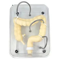 Modèle de formation en coloscopie scientifique médicale, simulation souple de l'organisme du côlon pour modèle d'enseignement