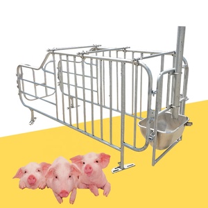 Factory Hot Sale Farm Piggery Swine Farm Gestation Crate with Back Door Design Sow Bed - Product Image 4