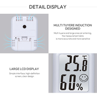 ABS oeuf incubateur thermomètre hygromètre mètre OEM intérieur extérieur température humidité moniteur affichage capteur pour une utilisation en chambre