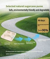 Assiette compartimentée jetable biodégradable de qualité alimentaire en bagasse, vaisselle écologique multi-compartiments pour fêtes, style tendance