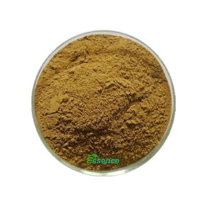 Extracto <span class=keywords><strong>de</strong></span> Phyllanthus Urinaria 100% Natural para la Rotura <span class=keywords><strong>de</strong></span> Cálculos Renales, Extracto <span class=keywords><strong>de</strong></span> <span class=keywords><strong>Chanca</strong></span> <span class=keywords><strong>Piedra</strong></span> en Polvo 4:1 10:1 - Product Image 1