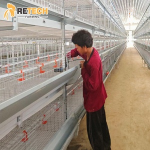 Nigeria H tipo automatico bere strato allevatore batteria gabbia sistema per 10000 galline - Product Image 1