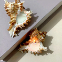 Bougie parfumée artisanale en cire de soja, coquillage décoratif, cadeau de décoration intérieure, luxe, créative, parfum d'ambiance, aromathérapie