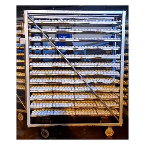 Incubadora de huevos automática de gabinete industrial de servicio personalizado para granja avícola de pato hecha en Vietnam