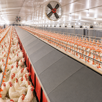 Gallinero Moderno Prefabricado con Estructura de Acero, Sistema Automático de Alimentación y Riego, a Prueba de Plagas