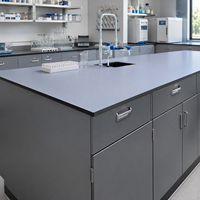 Plan de travail de laboratoire en résine phénolique, sur mesure, pour table de laboratoire