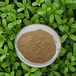 <span class=keywords><strong>Astragalus</strong></span> chiết xuất từ rễ <span class=keywords><strong>Radix</strong></span> <span class=keywords><strong>astragalus</strong></span> mucanaceus chiết xuất - Product Image 5