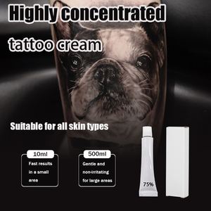 Beauty Factory, Tecnología Líder en Dermapen, Tinte para Cejas, Maquillaje al por Mayor, Crema para Tatuajes, Pigmentos para Micropigmentación - Product Image 2