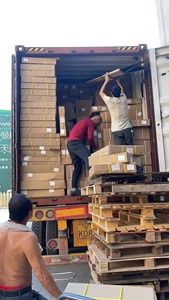 ฝาครอบฝากระโปรงหน้าสำหรับ T7สีดำมีฮู้ดสำหรับรถมอเตอร์ไซค์แบบ TST4X4ดีไซน์ออฟโรด - Product Image 4