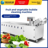 Commerciële groentewasmachine, grootschalige fruit- en groentebellenwasser, geautomatiseerde lijn voor de verwerking van vers gesneden groenten
