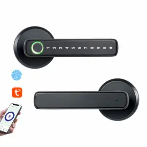 Serrures intelligentes pour porte d'entrée Kit de serrure de poignée de porte de sécurité Cylindre de levier de bureau à domicile Serrure de porte intelligente Wifi