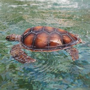 Décoration <span class=keywords><strong>de</strong></span> jardin <span class=keywords><strong>tortue</strong></span> en résine grandeur nature faite à la main, <span class=keywords><strong>tortue</strong></span> décorative en résine <span class=keywords><strong>tortue</strong></span> figurine <span class=keywords><strong>plage</strong></span> - Product Image 2