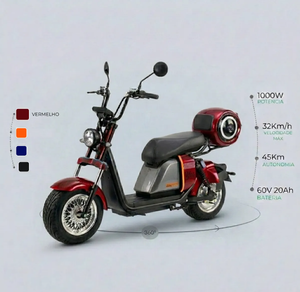 Scooter Eléctrico de Dos Ruedas, 1000w, 20ah, Batería de Litio, Aluminio, Resistente al Agua, Neumáticos Anchos, Modelo SS701, Motor Potente de 1000w, Gran Venta en Brasil - Product Image 2