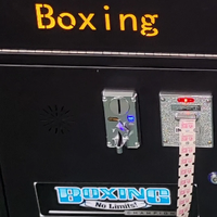 Machine d'arcade de boxe à monnayeur personnalisée, testeur de force de frappe, multilingue, prise universelle, clignotante