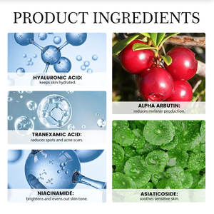 Sérum de visage de marque privée <span class=keywords><strong>Alpha</strong></span> Arbutine <span class=keywords><strong>2</strong></span>% blanchiment de la peau biologique réduit les taches acide hyaluronique <span class=keywords><strong>HA</strong></span> éclaircissant - Product Image 5