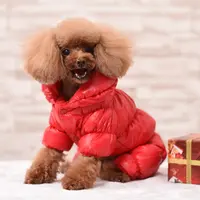 Jaqueta de cachorro luxuosa de alta qualidade, casaco à prova d'água com zíper