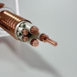 Jdh ปลอกทองแดงสายไฟทนไฟยืดหยุ่น bttrz 3x70 + 2x35 1kV ฉนวนพีวีซีกันไฟที่อุณหภูมิสูงกันควันไฟต่ำ - Product Image 6