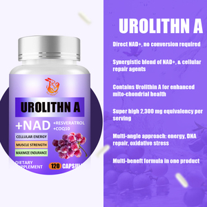 Cápsulas de Urolithin A al por mayor de fábrica, Resveratrol, CoQ10, Niacinamida, Curcumina, Energía Celular, Cápsulas para la Fuerza Muscular - Product Image 2