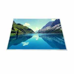 Boe MT220WPM-N10 22 inch LCD hiển thị bảng điều chỉnh mô-đun <span class=keywords><strong>WSXGA</strong></span> + 1680x1050 LVDS TFT màn hình cho máy tính để bàn màn hình thay thế - Product Image 4
