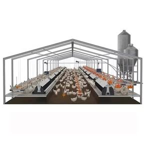 Gallinero Prefabricado Moderno de Acero, Diseño de Granja Avícola, Capacidad para 1000 Pollos, <span class=keywords><strong>Precio</strong></span> de Venta - Product Image 1