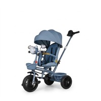 Vente flash - Nouveau tricycle pour bébé NEWPORT SY-207 pour enfants de 2 à 6 ans avec auvent, poignée de poussée et capote - Cadre en métal
