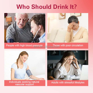 Infus Herbal Alami Berbasis Tumbuhan 2.5g 20 Sachet dengan Ginkgo Polygonatum, Serbuk Pinus, Seabuckthorn, Teh Darah - Product Image 4