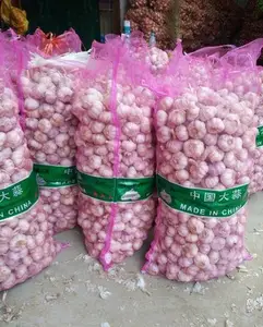 Fresh Chinese Garlic Wholesale Export Preferential Price And High Quality