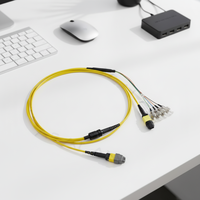 Kabel Fanout MTP Kepadatan Tinggi MTP-12/16/24 Core ke Jumper MPO Konektor 4*ST Jaket LSZH 100G Jaringan Pusat Data Kecepatan Tinggi