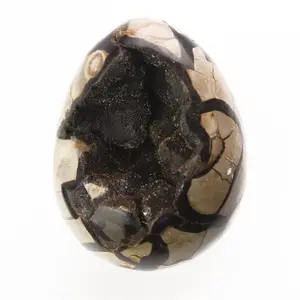 थोक प्राकृतिक नि: शुल्क आकार Septarian पत्थर नक्काशी कछुआ पत्थर अंडे