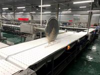 Nouvelle Scie Circulaire Automatique Robuste Kgentlest en Acier Inoxydable 304 pour Viande, Lame de 750 mm, 380V, Traitement Haute Efficacité 1