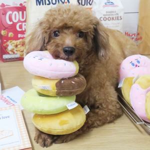 Juguetes de Peluche para Perros con Diseño de Comida Oculta, Sonido de Mordida de Bagel, Versión Coreana, Empaque Personalizado - Product Image 1