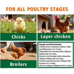 Suplemento Avícola CY AirsacClear - Alivio Respiratorio para la Airescaculitis <span class=keywords><strong>y</strong></span> la <span class=keywords><strong>Tos</strong></span> - Product Image 4