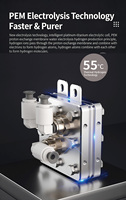 Ioniseur d'eau hydrogénée d'origine usine, technologie SPE PEM, distributeur d'eau hydrogénée de bureau pour les soins de santé