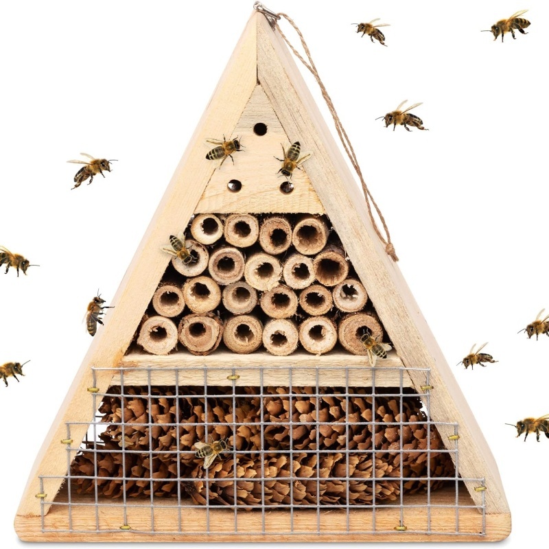 Hot Sale Interactive Wooden Bee House