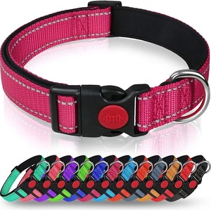 Kalung nilon anjing & kucing reflektif, stok tersedia 2025 dengan lampu, dekorasi pita perlengkapan latihan luar ruangan populer hewan peliharaan tidak mencekik - Product Image 6