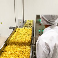 Productie-apparatuur voor aardappelchips met hoge capaciteit, geschikt voor gekrulde aardappelchips, inclusief frituren, kruiden en verpakken