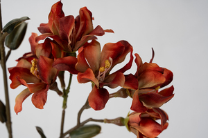 87cm Lilas Ours Fleur Artificielle Simple-Branche Bord Brûlé pour la Graduation Nouvel An Fête des Pères Fête des Mères Pâques - Product Image 3