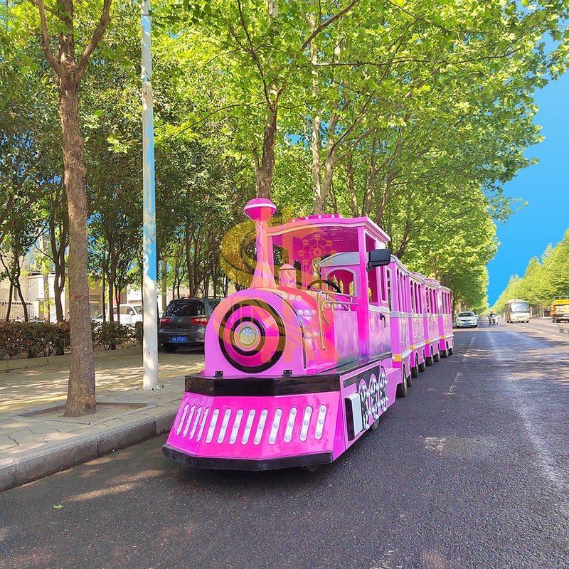 Kid Friendly Electric Miniature Train Ride