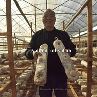 Champignons Crinière de Lion Entiers Séchés Biologiques en Vrac pour Boissons, Thé, Cuisine, Café – Poudre Personnalisée Disponible