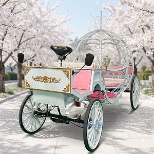 Luxury Electric Horseless Carriage 4-6 Persons High-intensity Material Wedding Buggy English Style Sightseeing - Product Image 1