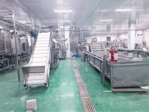 <span class=keywords><strong>เครื่อง</strong></span>คั้นน้ำผลไม้<span class=keywords><strong>สด</strong></span>อัตโนมัติประสิทธิภาพสูงสำหรับน้ำส้มและมะม่วงแบบสกัดเย็น - Product Image 2