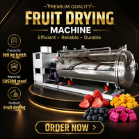 Vacuümvriesdroger Deur Lyofilisator 10 RVS Pomp Voedselverwerkingsdroogapparatuur voor Fruit Groenten Kruiden