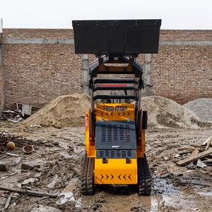 Proveedor Profesional de Minicargadora de Orugas con Pedal Plegable, Capacidad de Carga de 450 kg, para Trabajos Agrícolas - Product Image 1