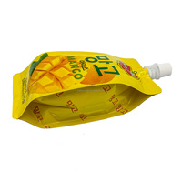Sac de pochette debout réutilisable personnalisé en plastique pour emballage de boisson de jus de fruits liquide avec bec verseur