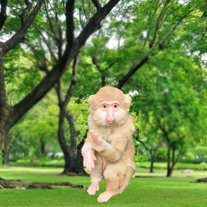 Funky Bán Buôn Thương Mại Sinh Thái Nghệ Thuật Thân Thiện Và Thủ Công Monkeys 2022 Home Garden Decor Item - Product Image 2